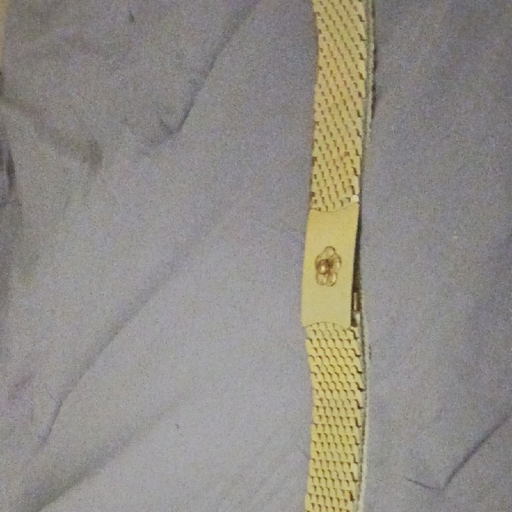 Gold Mesh Belt